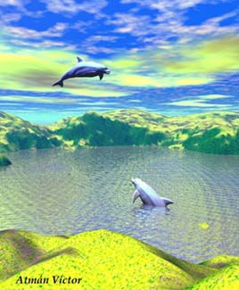 Dolphin Games