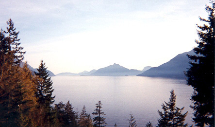 Canada No. 1