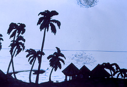 Blue Hawaii