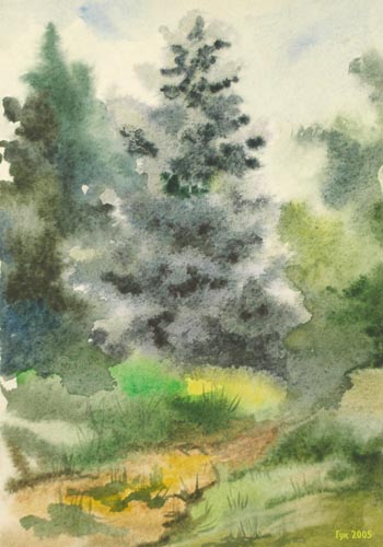 The Kyyiv's Fir Trees