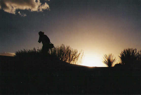 Sunset In The Sand