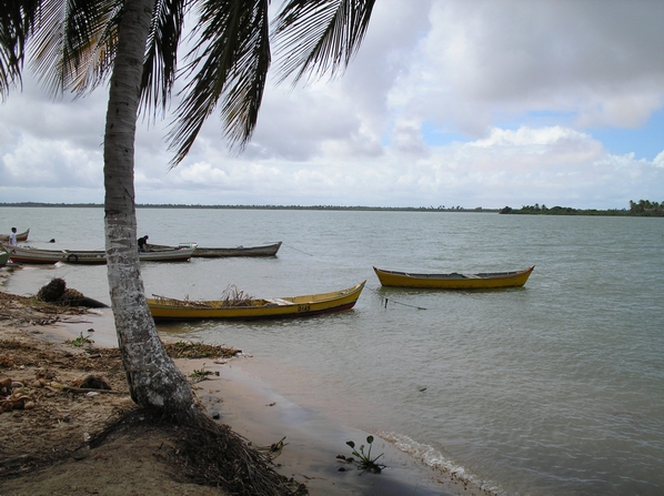 Rio São Franscisco, será o último adeus?