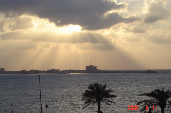 Sun Rays