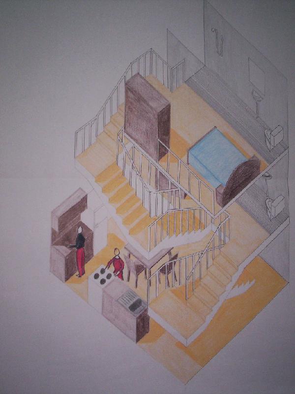 Morphology and Syntax of Scaled and Functional Space