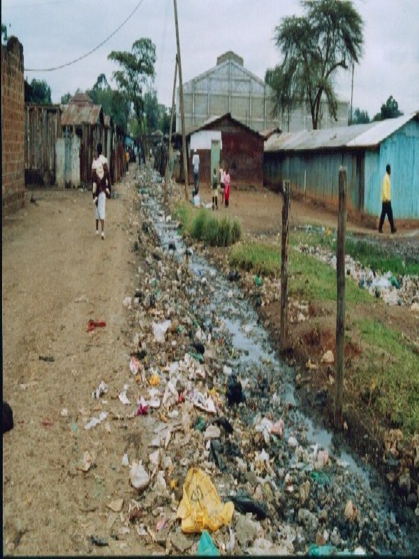 Millennium Development Goals