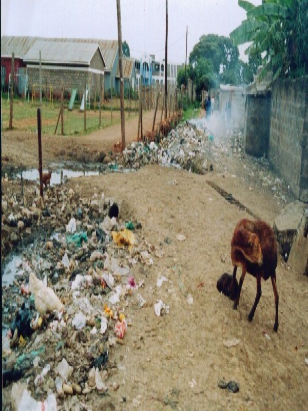 Environment Degradation