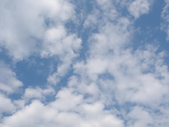 White Clouds