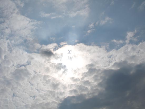 The Radiance