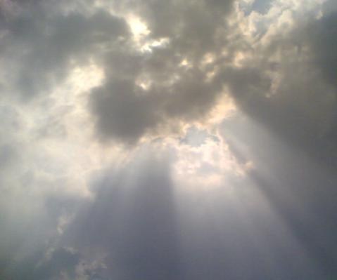 Sun Rays