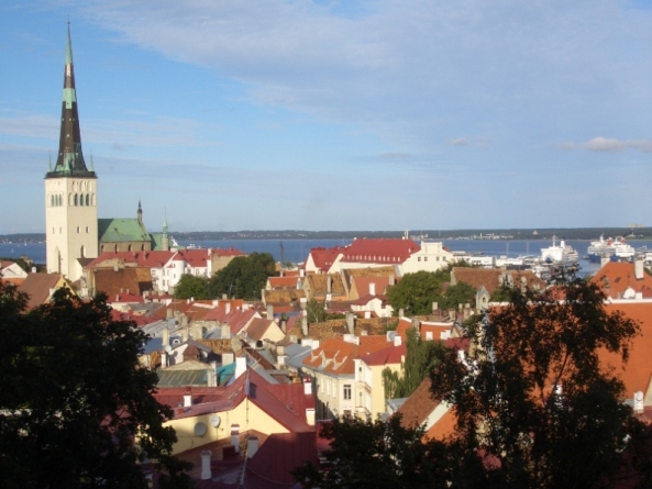 Rooftop Panorama