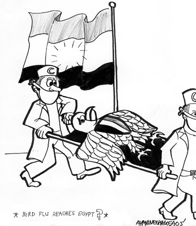Bird Flu Reaches Egypt?