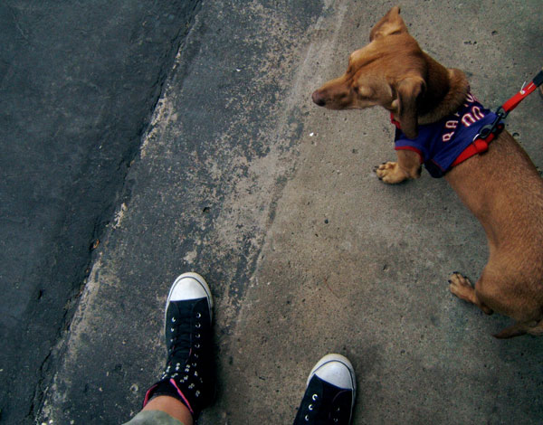 Walk Me