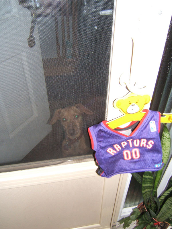 B-Ball Dreaming