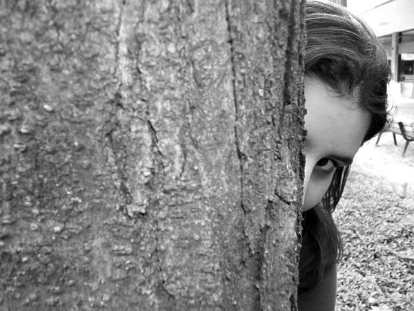 Tree as a Guide