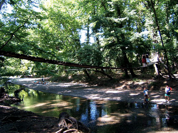 Crossing Over