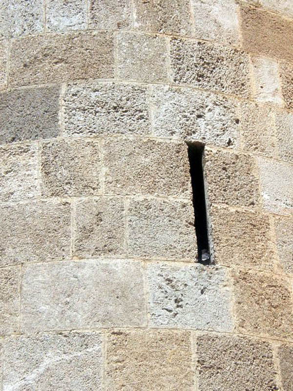 Peeping Tom Bird