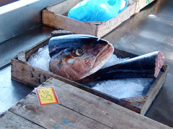 Something Smells Fishy