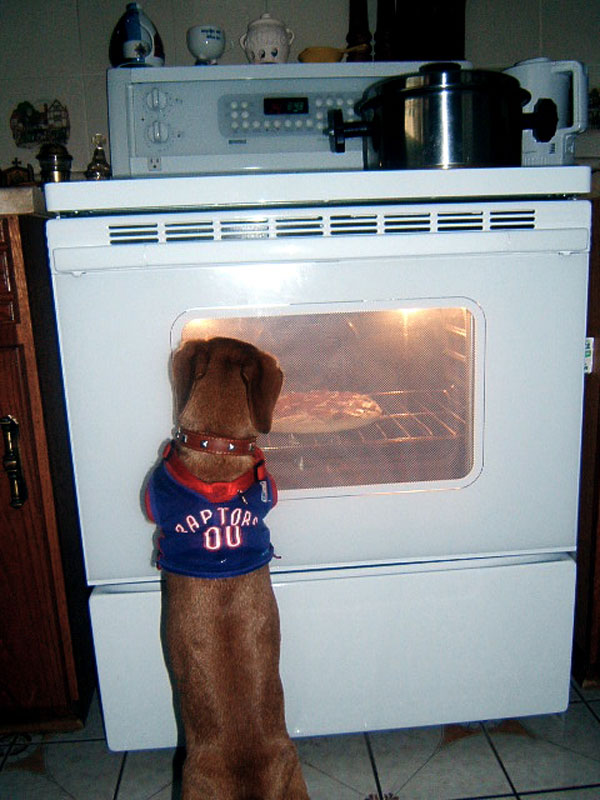 Pizza Lover