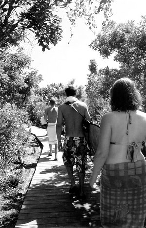 On The Way To The Ocean