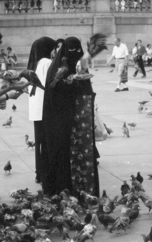 pigeons of freedom...