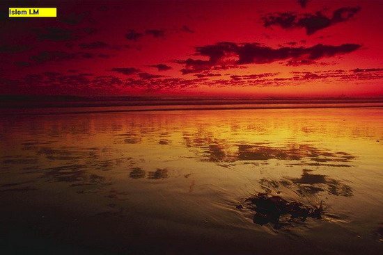 Silence