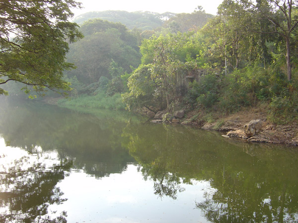 Peaceful Canal in Sanjay Gandhi National Park