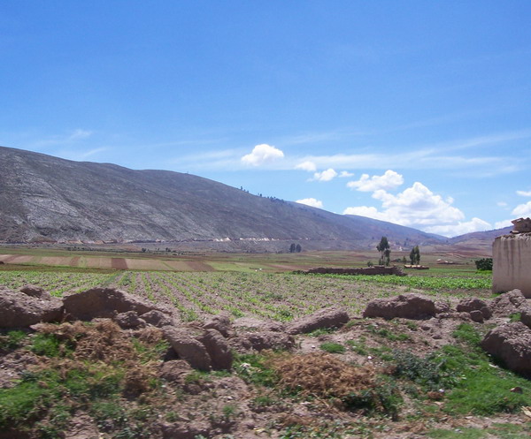 Beautiful Earth
