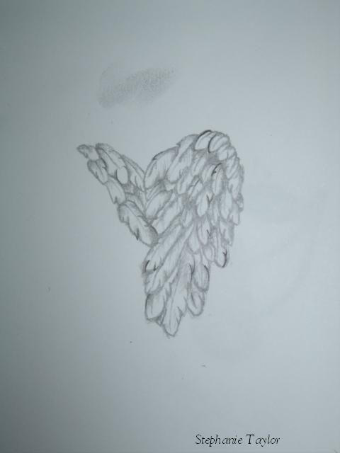 Angel Wings