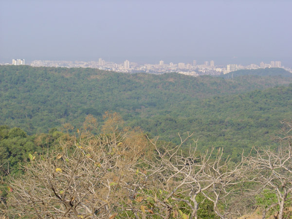 City Skyline