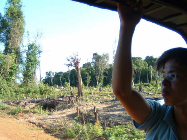 Deforestation