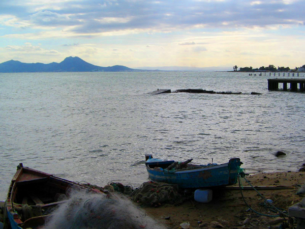 Mediterráneo Tunecino
