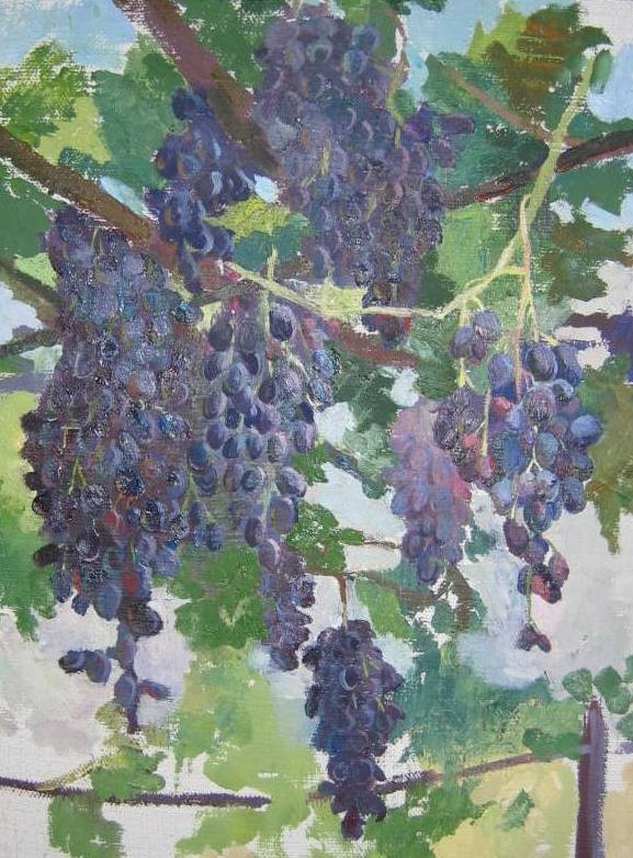 Grapes
