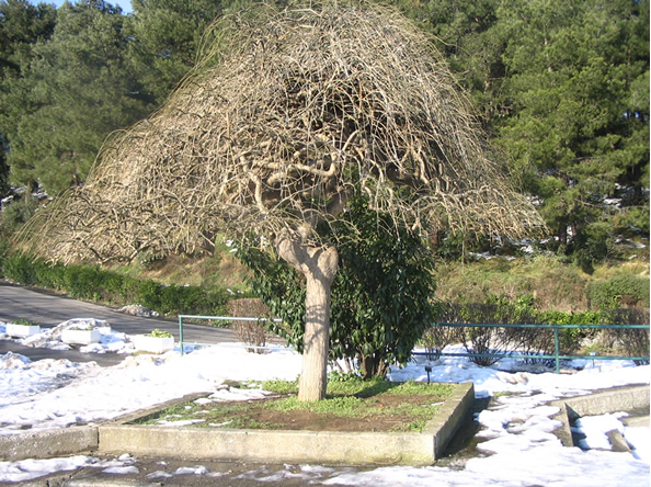 Standing Alone In A Cold Day