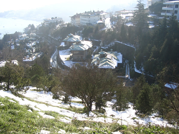 Shore Of Bosphorus In Winter