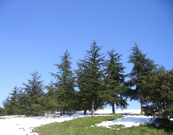 Winter Time In Istanbul