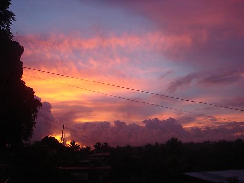 My Island Paradise-Home Sweet Home!