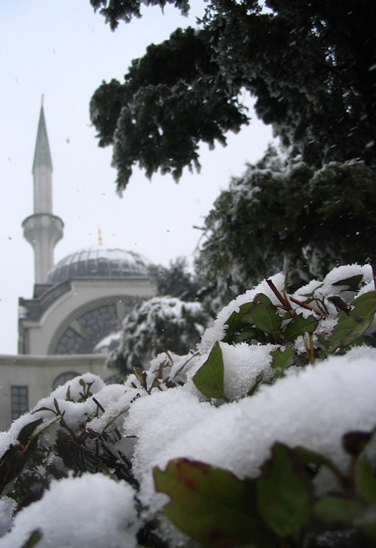 Snow in Istanbul Again