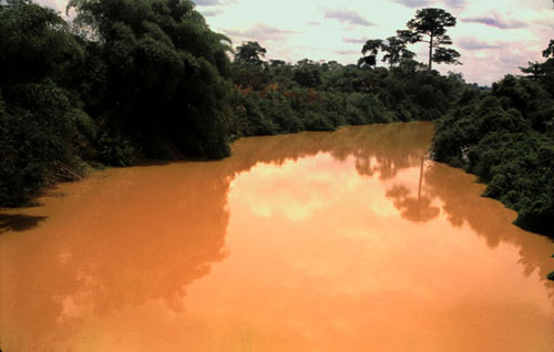 Mud river