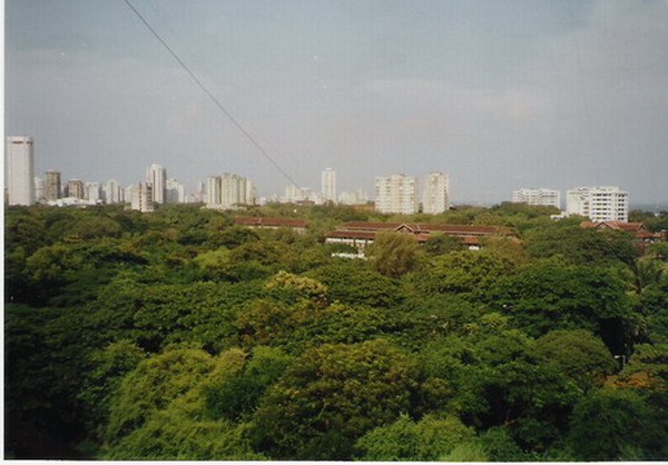 Mumbai From My Room