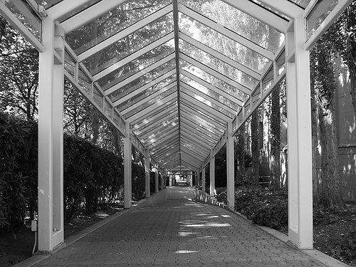 Path