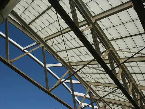 Extension