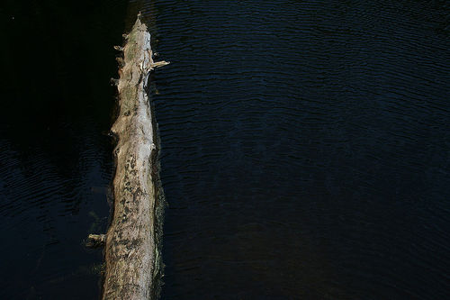 Adrift