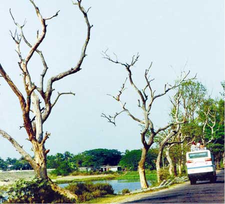 Nature is Not Out of Disability, Need More Attention and Care