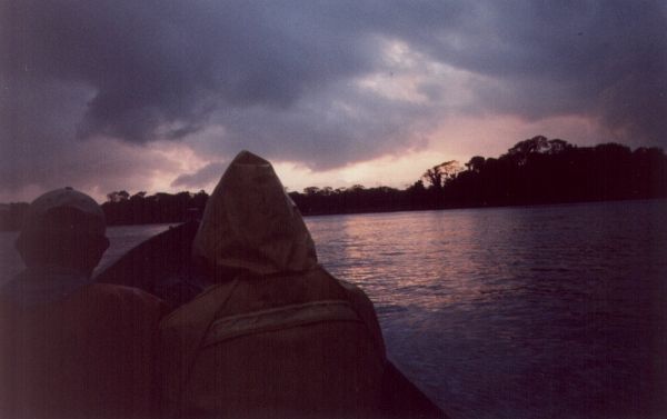 Caribbean Rainforest Wakes Up