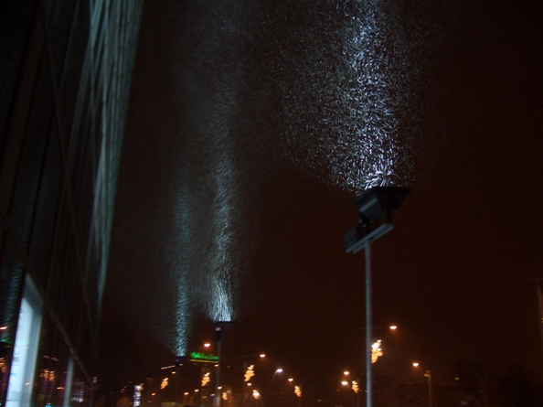 Snowshower