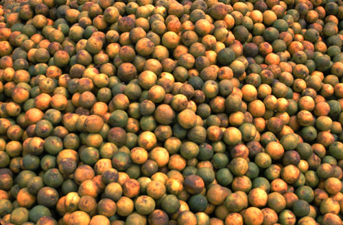 Oranges...the natural ones!