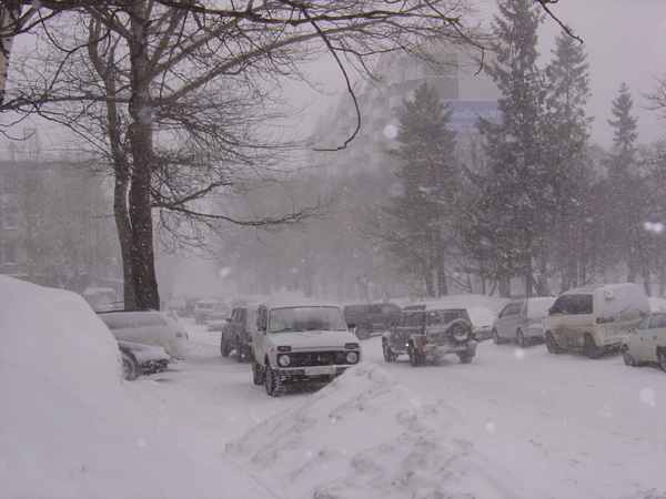 Life Crawls Back to Normal