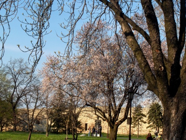 April u Beogradu