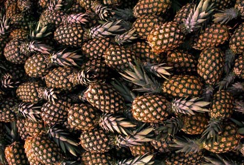 Pineapples