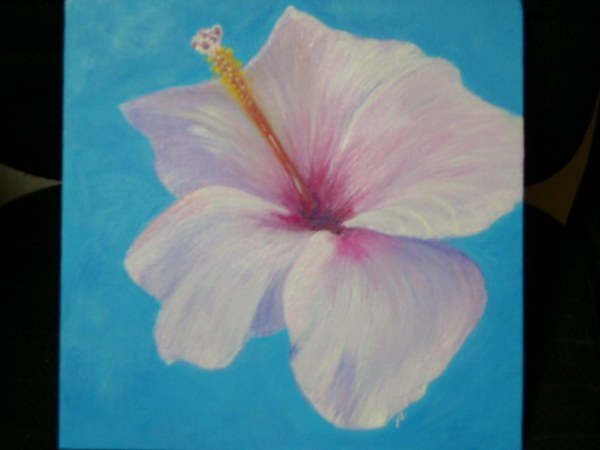 Flower - Hibiscus